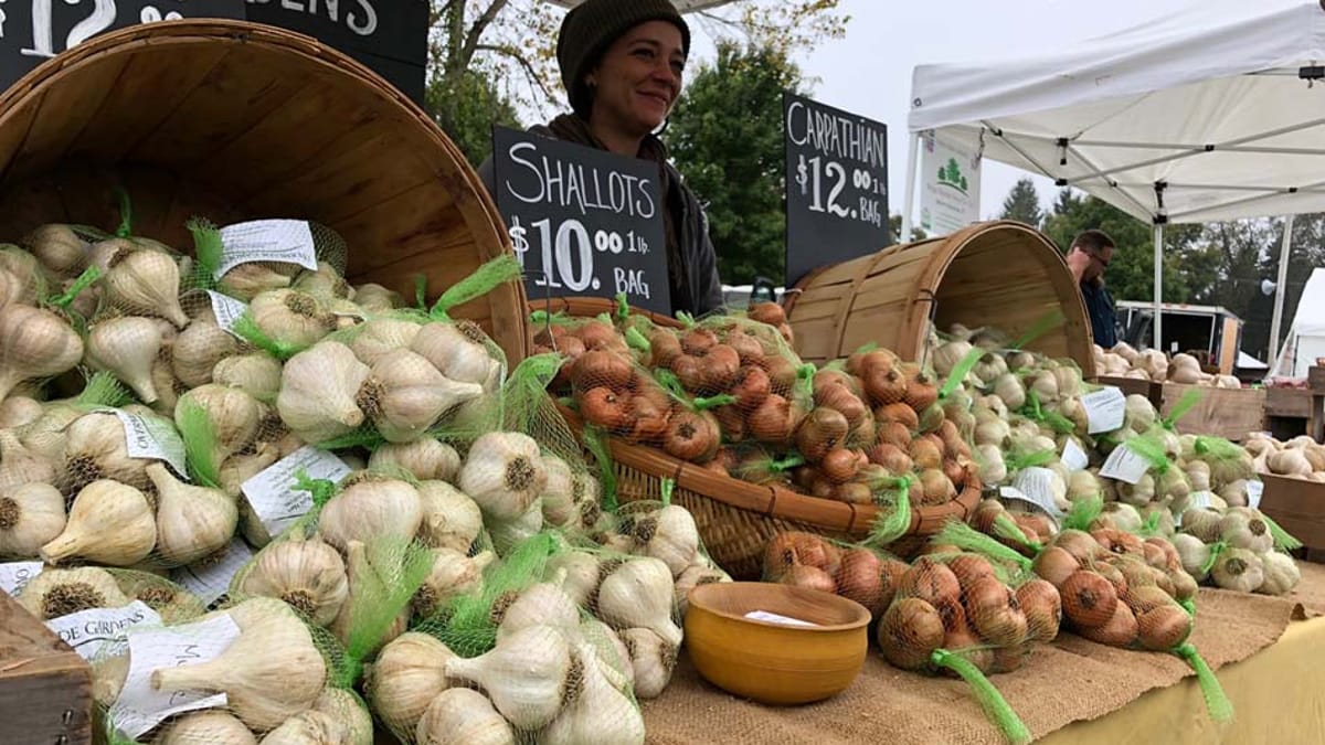 Connecticut Garlic & Harvest Festival