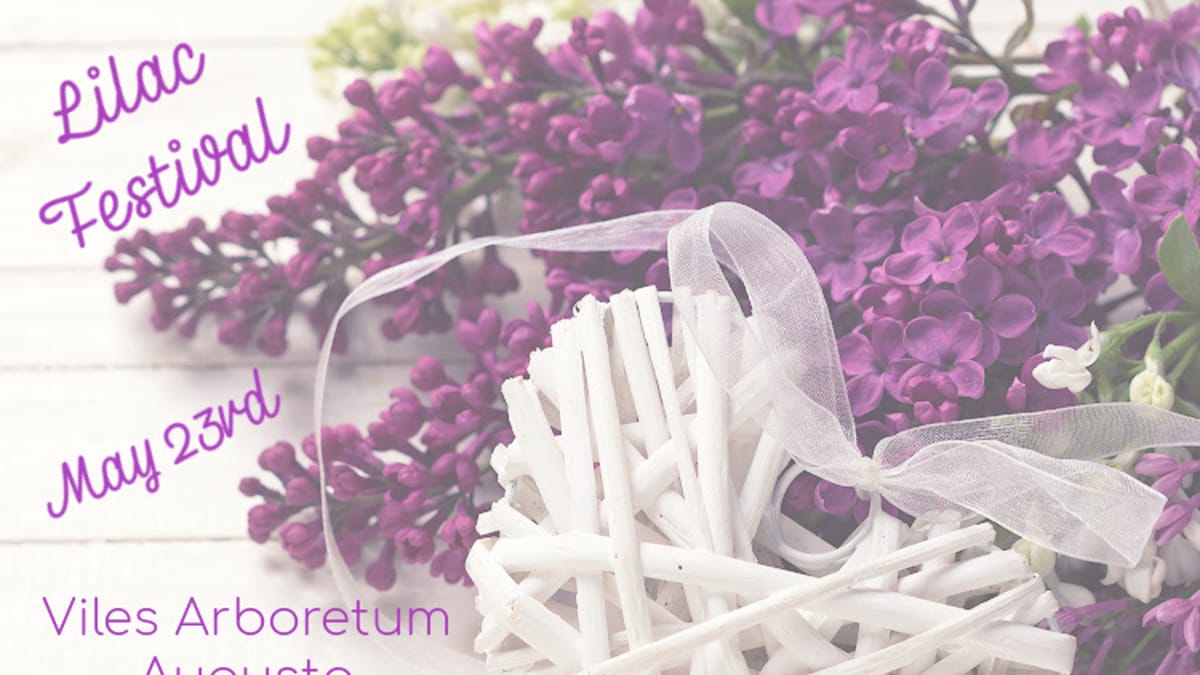 Lilac Festival