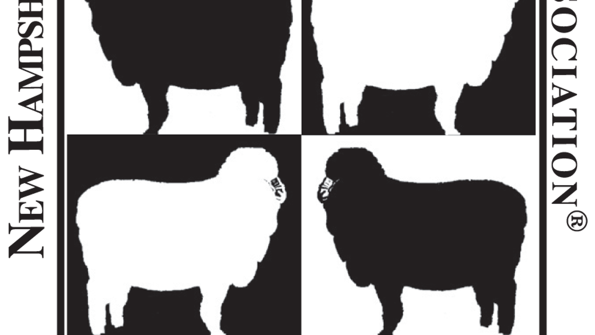 NH Sheep and Wool Festival