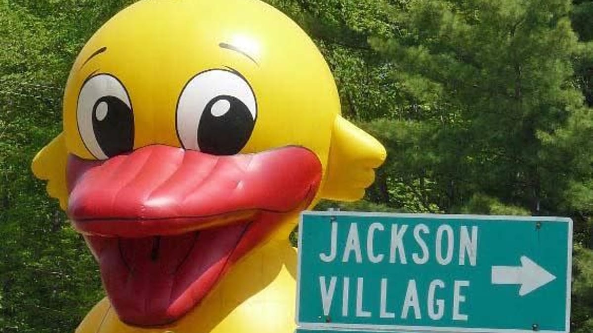 Wildquack Duck Race & Music Festival