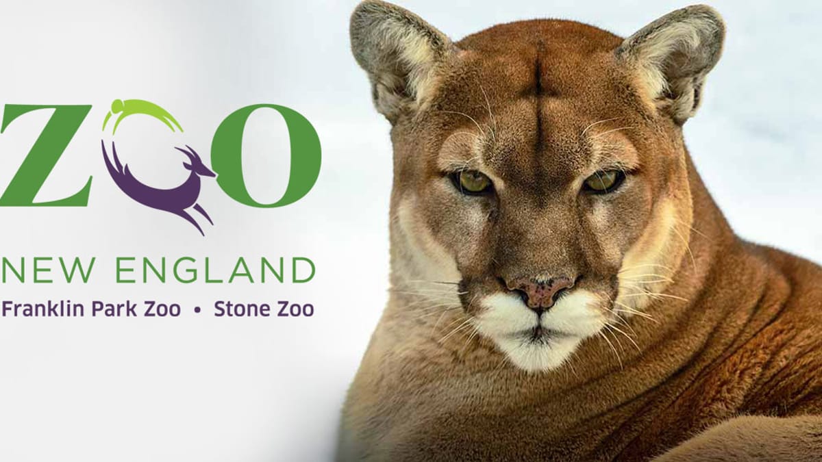 ZooLights at Stone Zoo