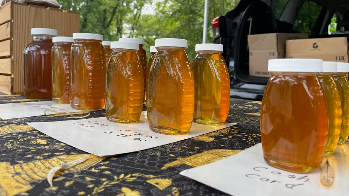 Wayland Summer Farmers' Market