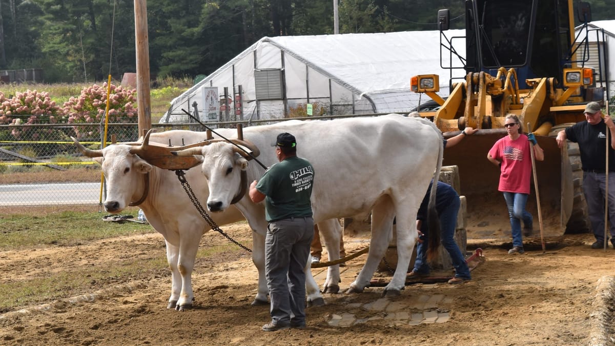 Deerfield Fair