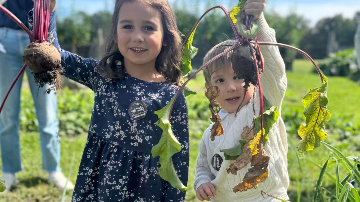 Harvest Festival — Coggeshall Farm