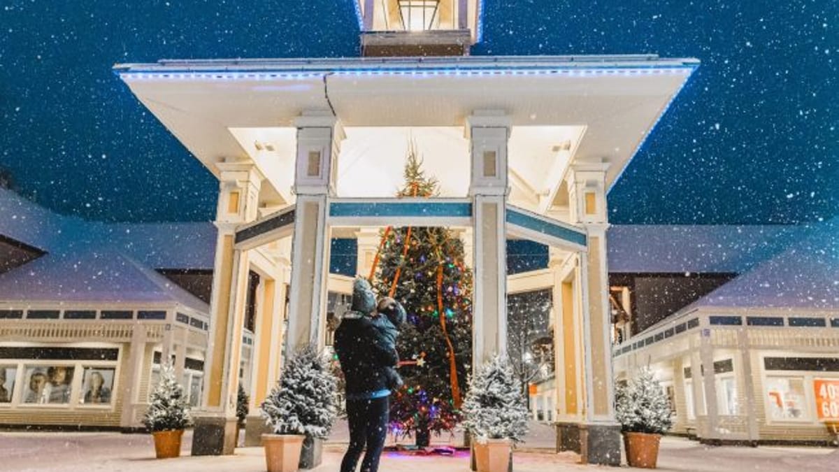 Holiday Festival & Tree Lighting at Settlers Green