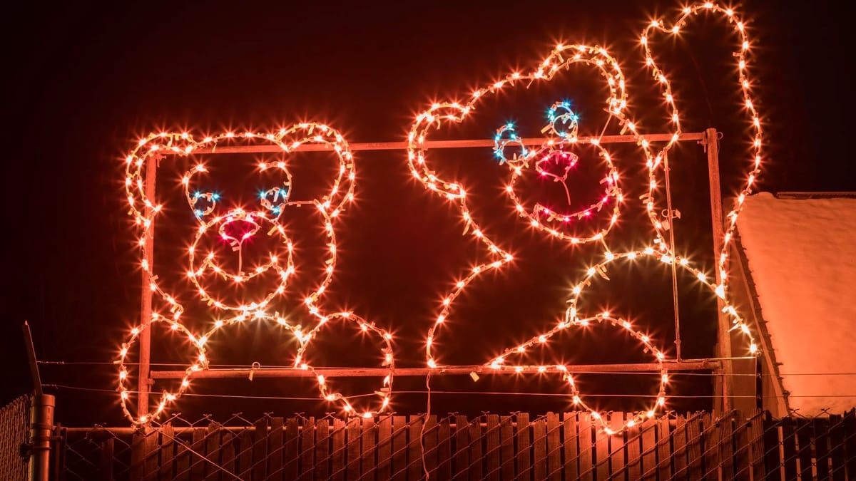 Bright Nights at Forest Park