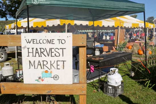 Old Fashioned Harvest Market 2026