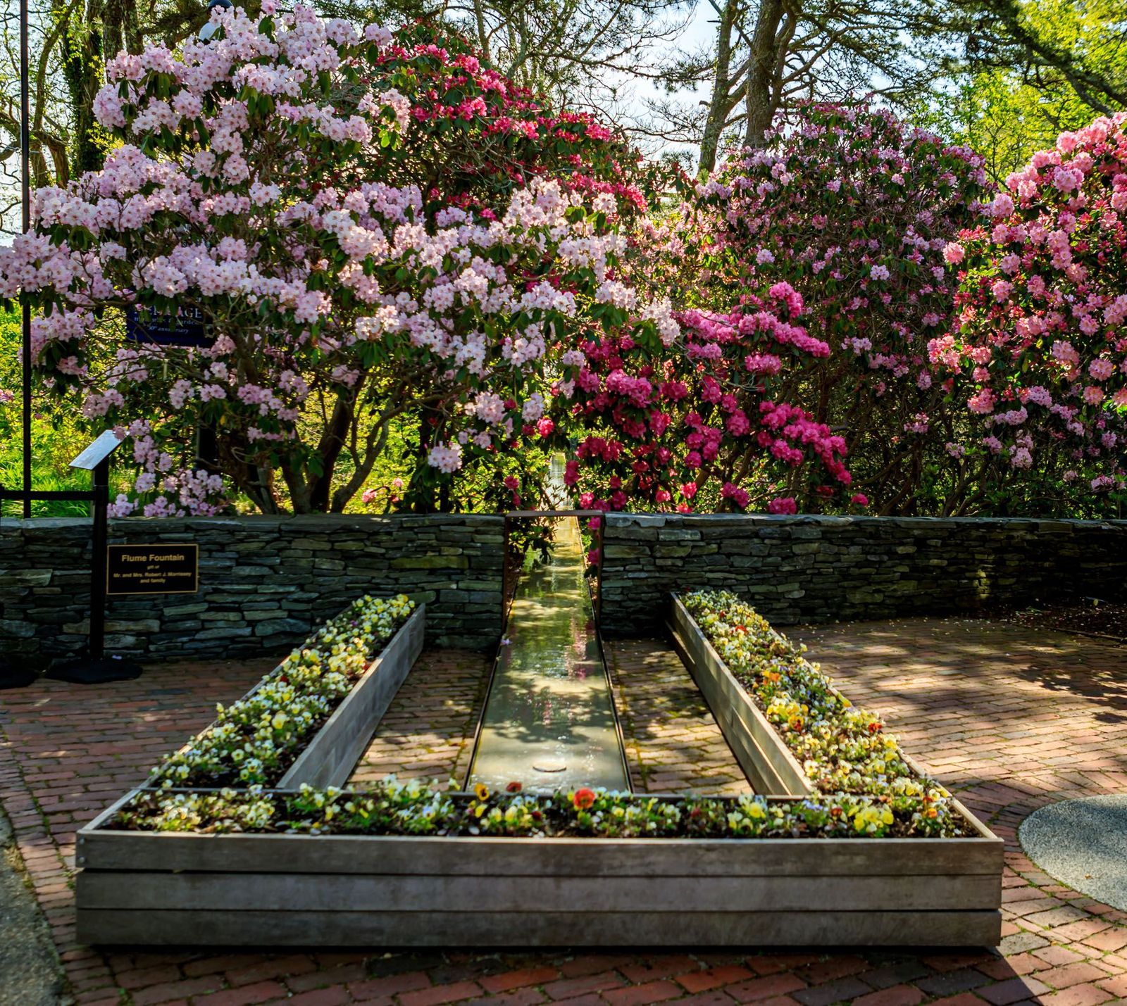 Rhododendron Festival at Heritage Museums & Gardens 2026