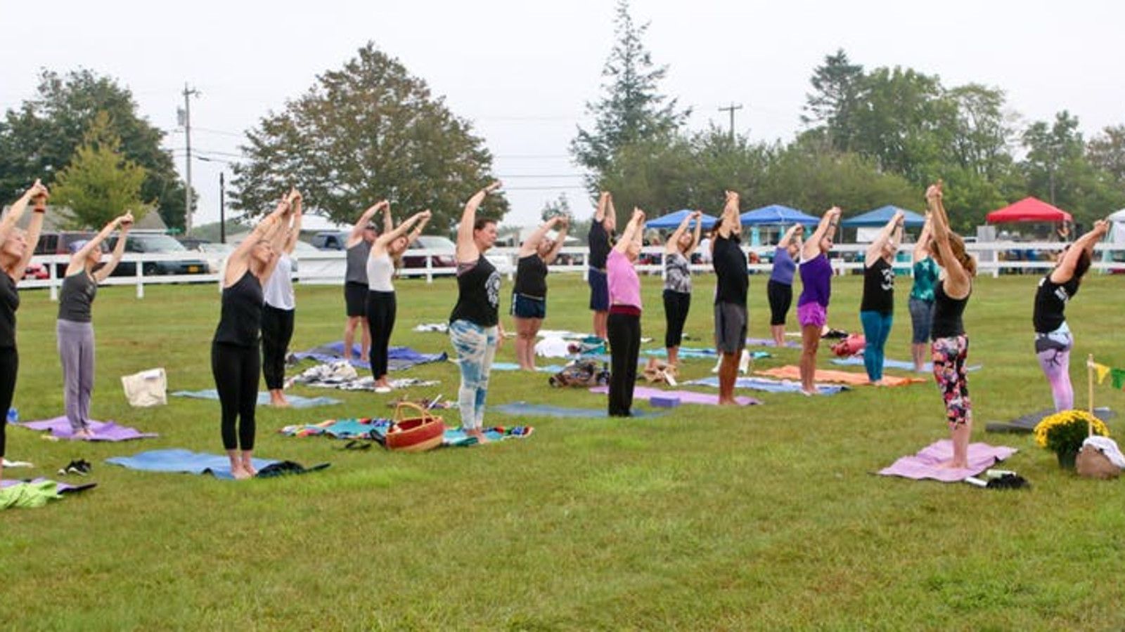 Firefly Yoga & Wellness Festival