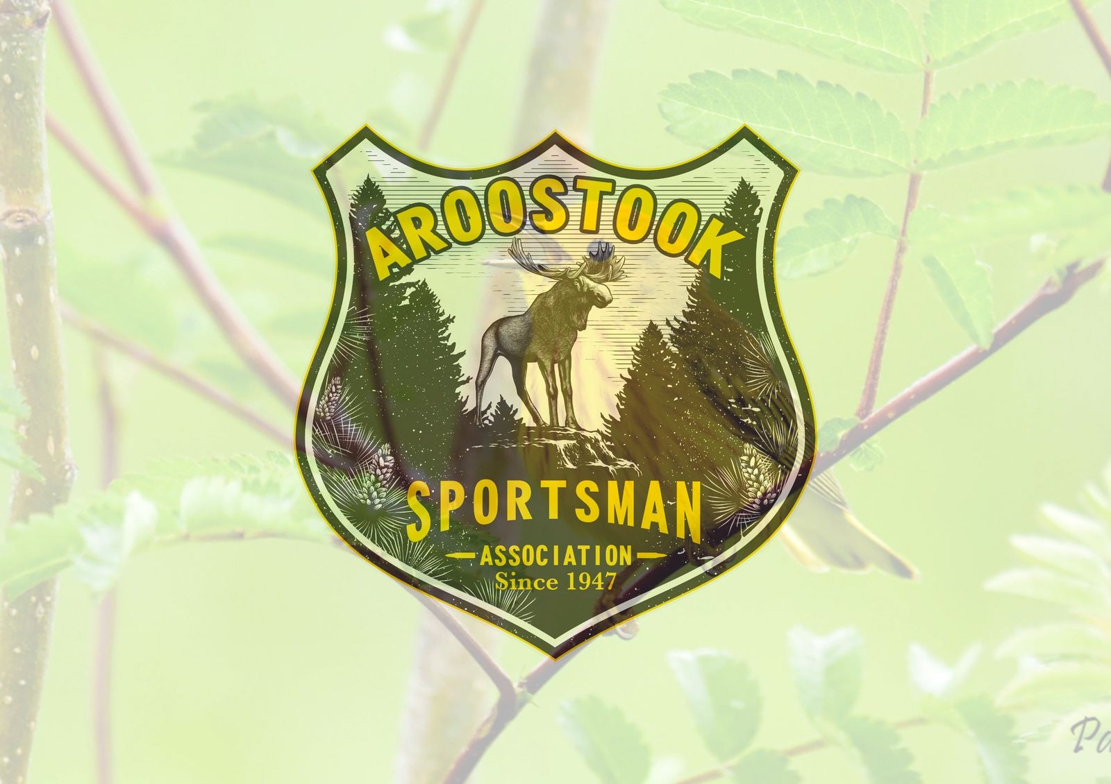 Aroostook Sportsman Association Gun Show (Fall)