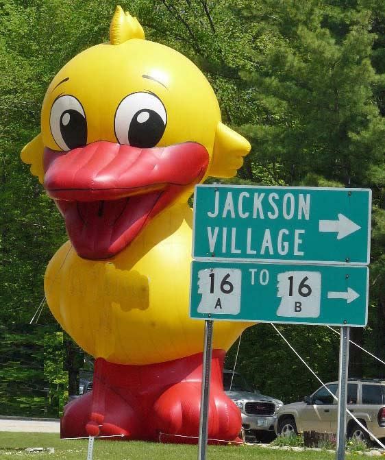Wildquack Duck Race & Music Festival 2026