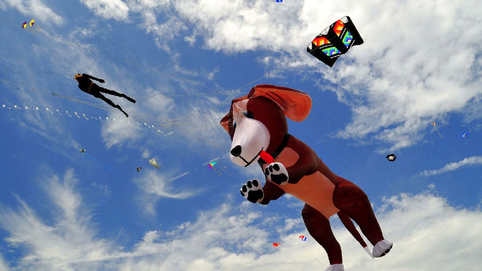 Newport Kite Festival 2026