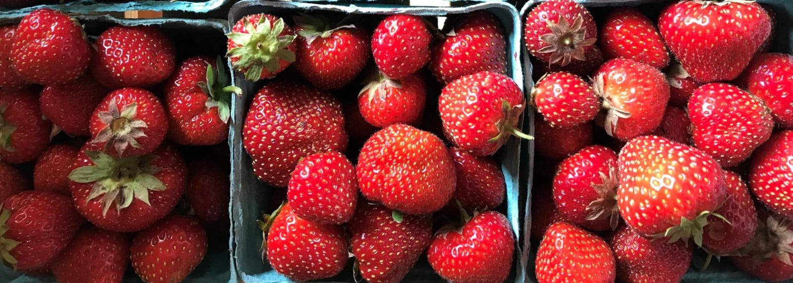West Burke Strawberry Festival