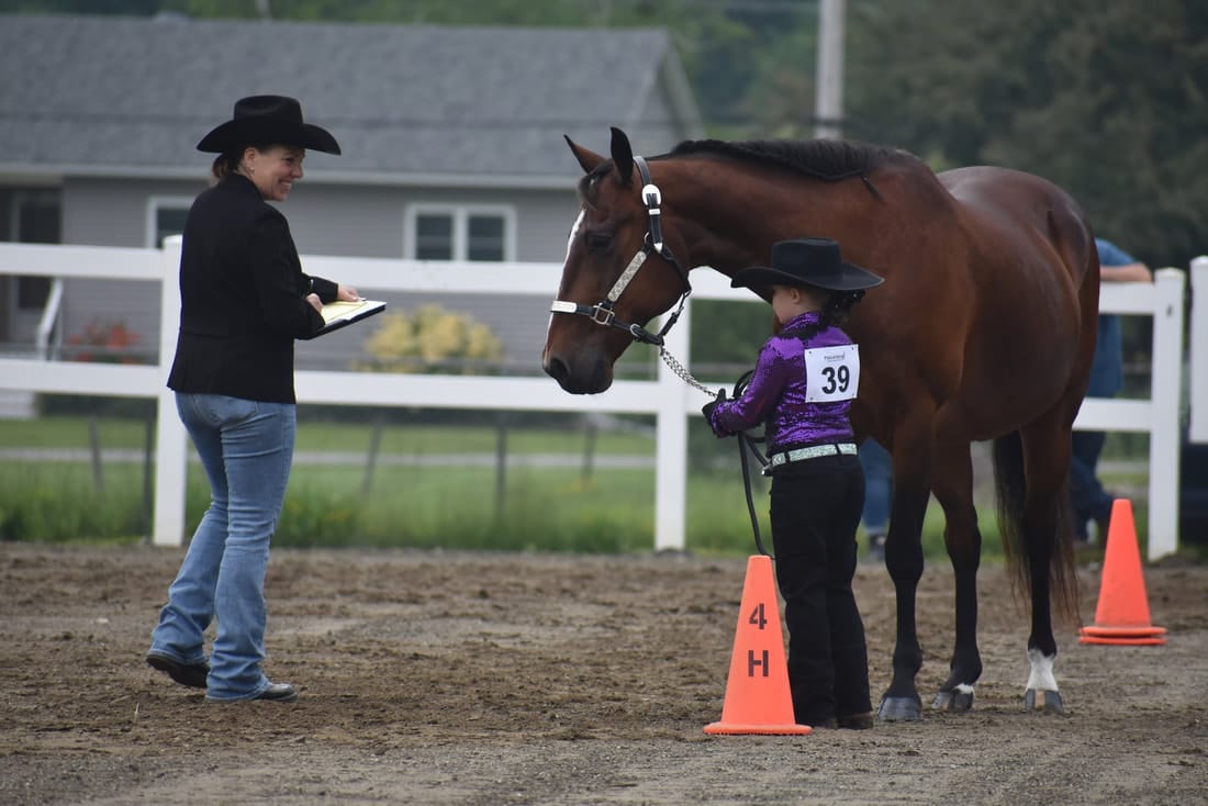 Orleans County Fair