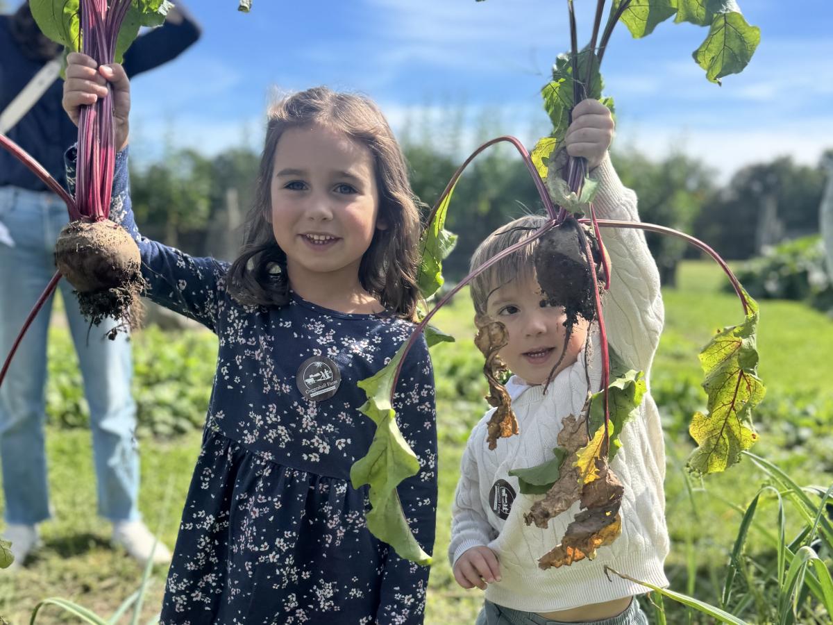 Harvest Festival — Coggeshall Farm 2026