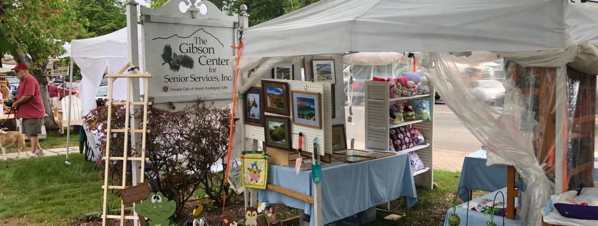Gibson Center for Senior Services