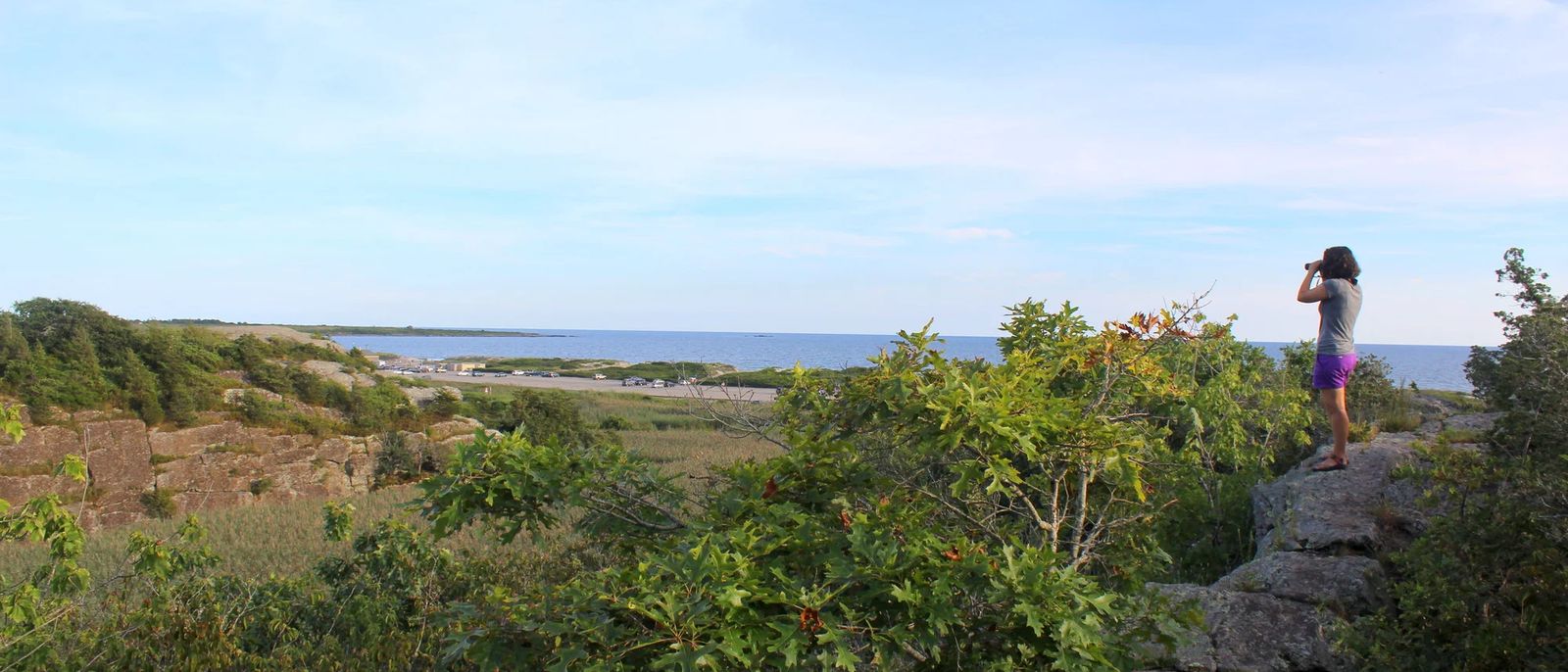 Norman Bird Sanctuary banner