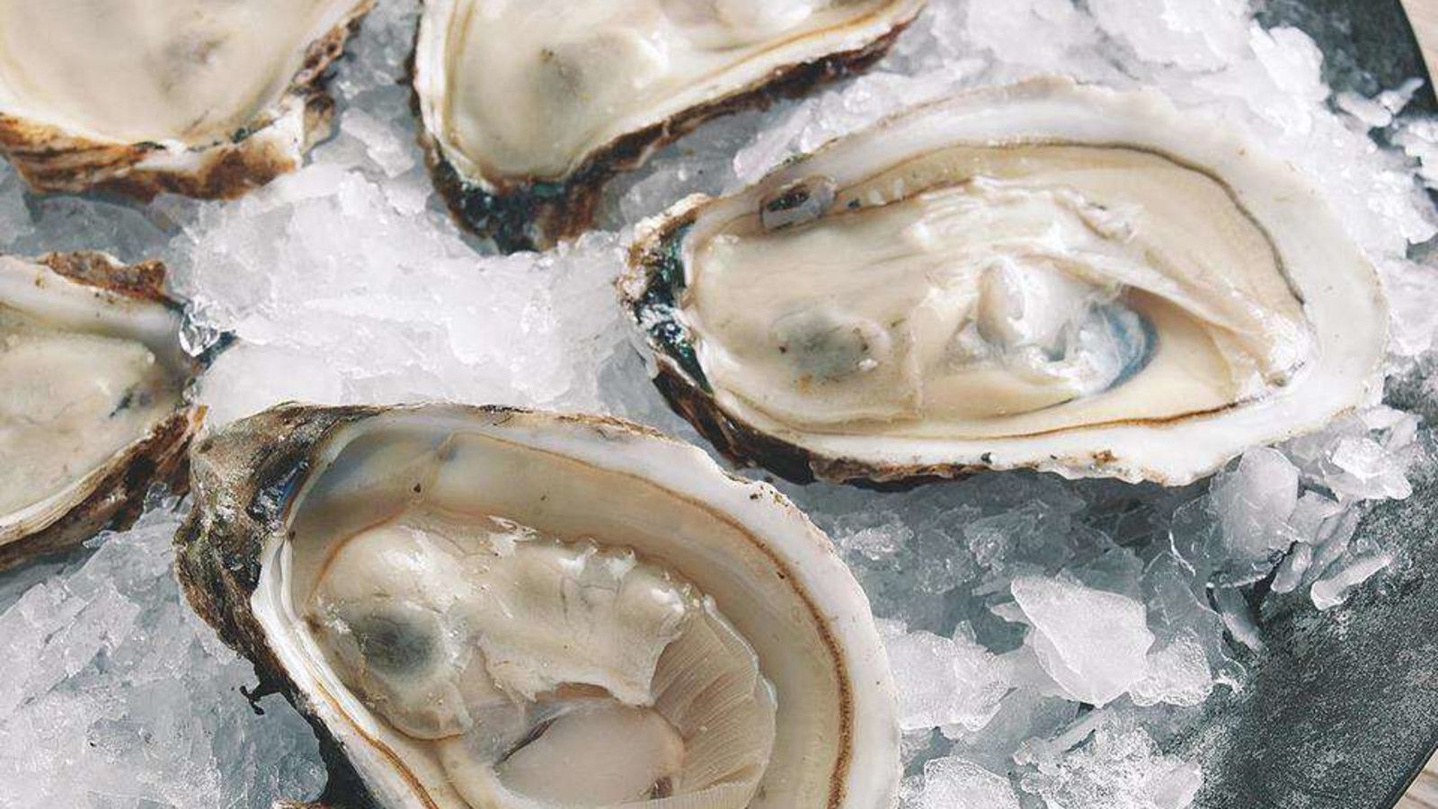 Wine & Brine Coastal Cruise — Providence