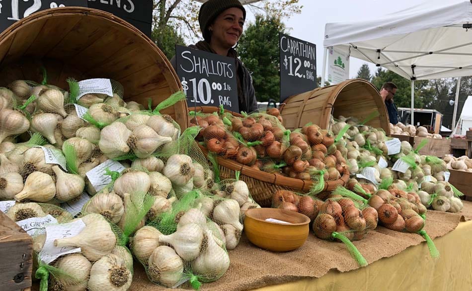 Photo of Connecticut Garlic & Harvest Festival 2026 event