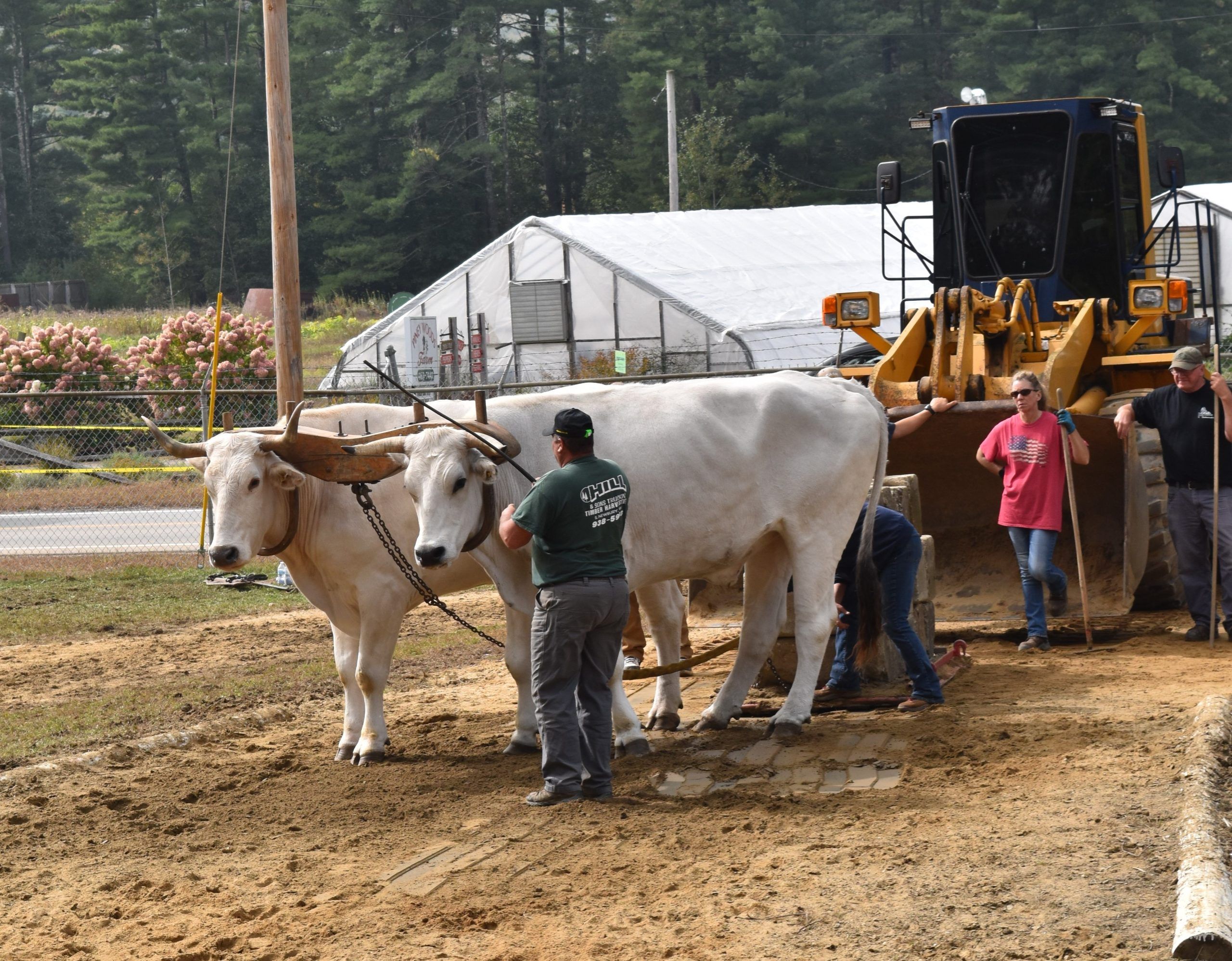 Photo of Deerfield Fair 2026 event