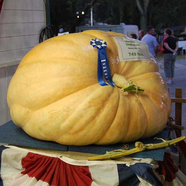 Photo of Marshfield Fair 2026 — Aug 21–30 in Marshfield, MA event