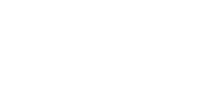 PVDFest logo