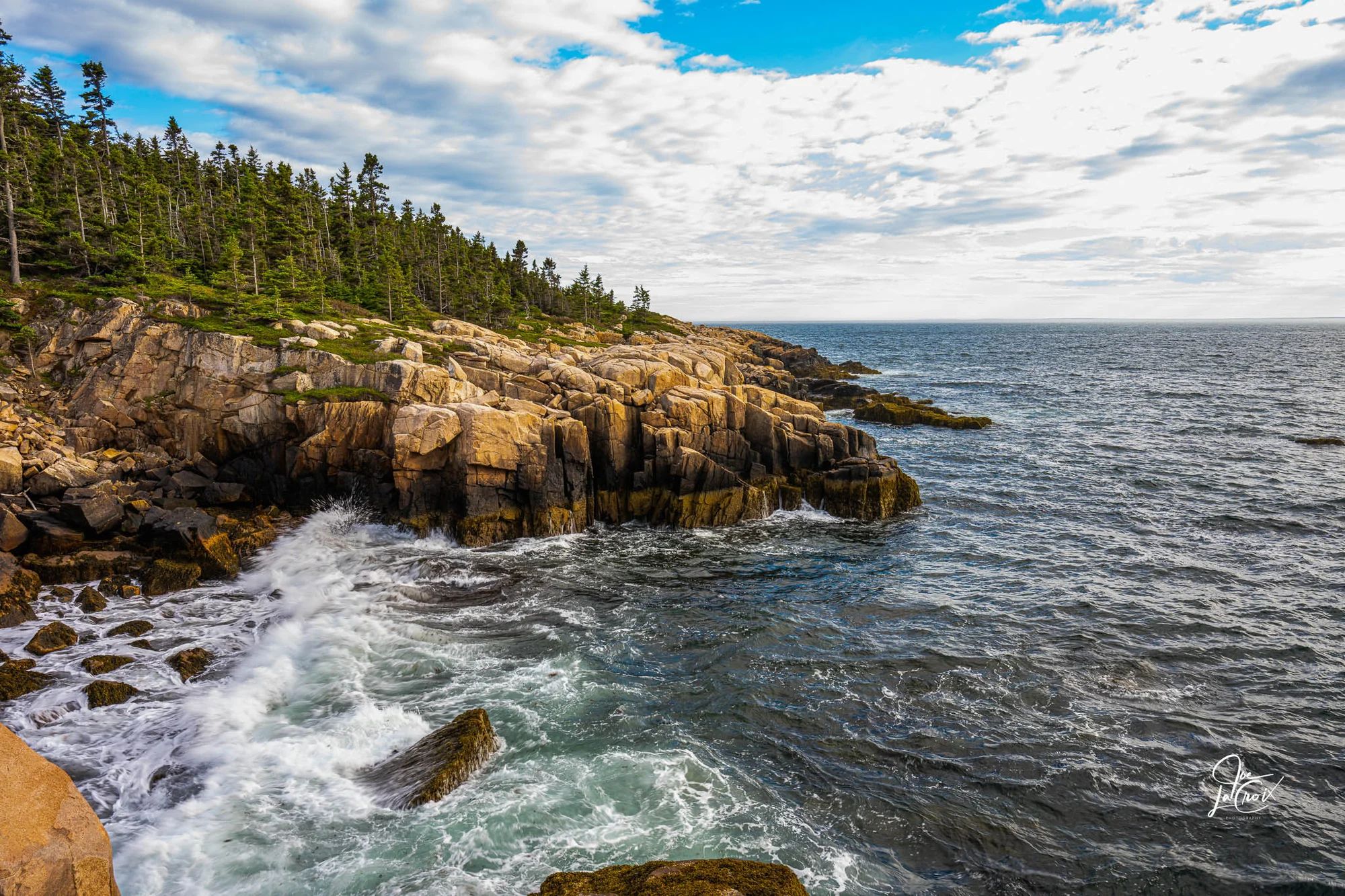 Shoreline along Acadia national park