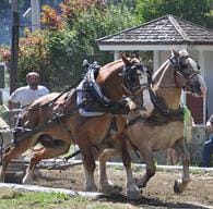 Photo of Deerfield Valley Farmers Day event