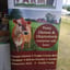 Springdale Farm Creamery logo
