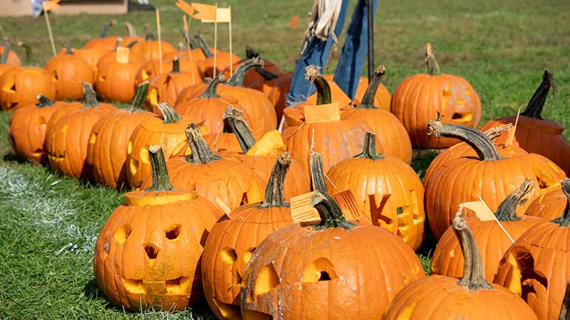 Photo of Westfield PumpkinFest 2026 event