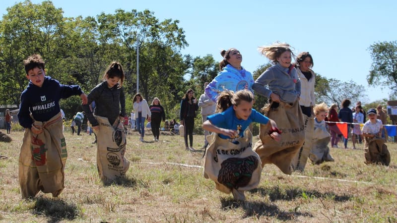 Photo of Norman Bird Sanctuary Harvest Fair 2026 event