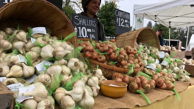 Photo of Connecticut Garlic & Harvest Festival 2026 event