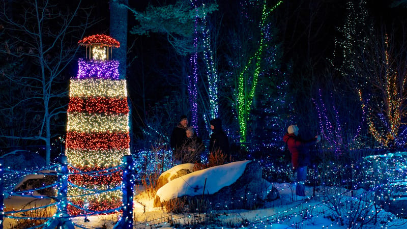 Featured image for Gardens Aglow 2026: Tickets, Dates and Tips for the Boothbay Light Show