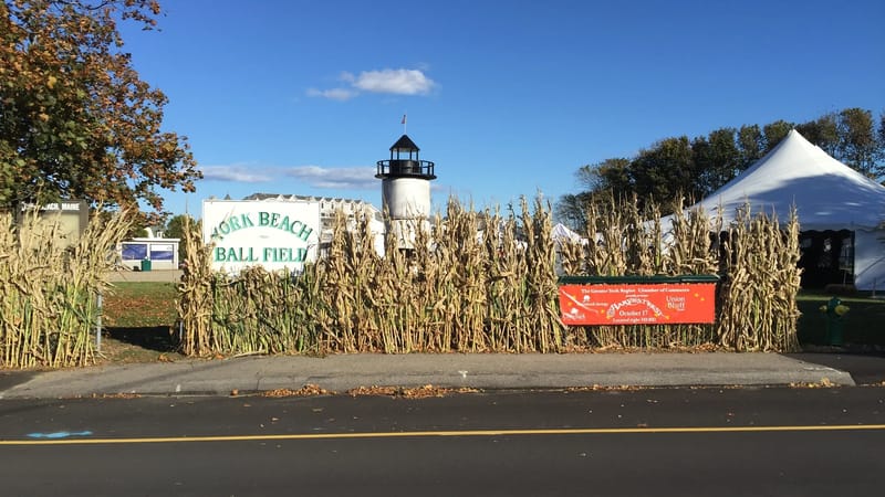 Photo of York Harvestfest 2026 event