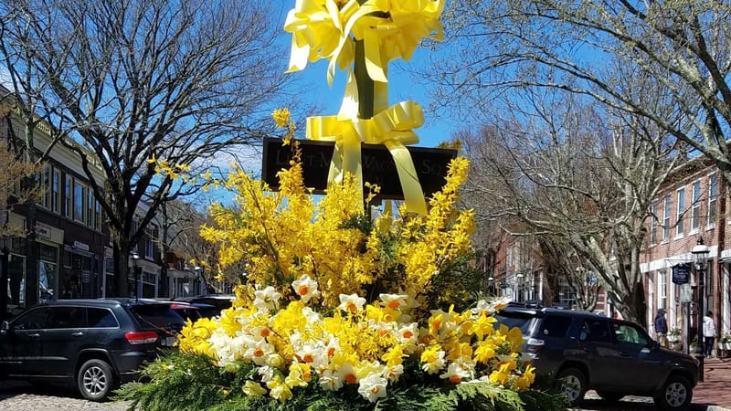 Photo of Nantucket Daffodil Festival 2026 event