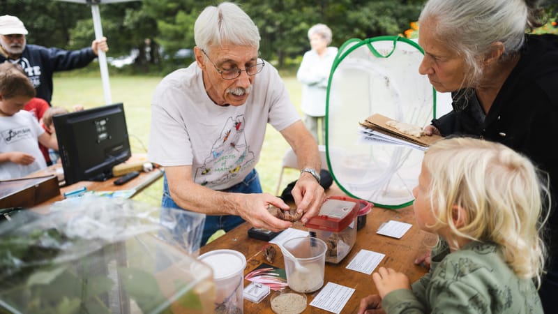 Photo of Monarch Festival 2026 event