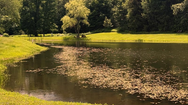 Photo of 6th Annual Farm Road Music Fest 2026 event