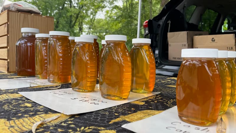 Photo of Wayland Summer Farmers' Market 2026 event