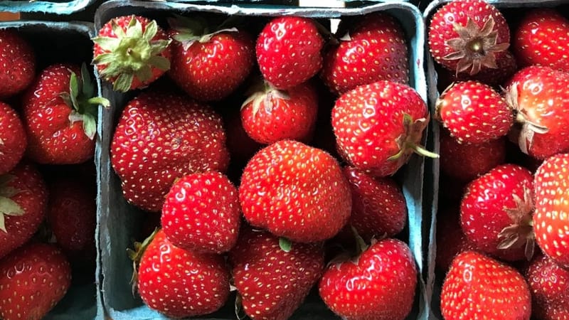 Photo of West Burke Strawberry Festival event