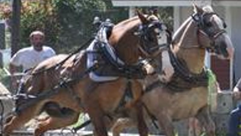 Photo of Deerfield Valley Farmers Day event