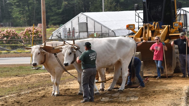Photo of Deerfield Fair 2026 event