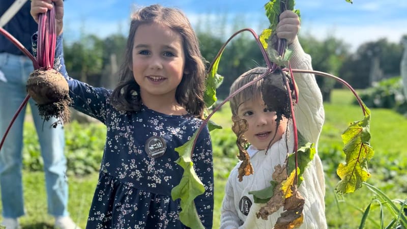 Photo of Harvest Festival — Coggeshall Farm 2026 event