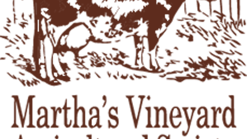 Photo of Martha's Vineyard Fair 2026 event