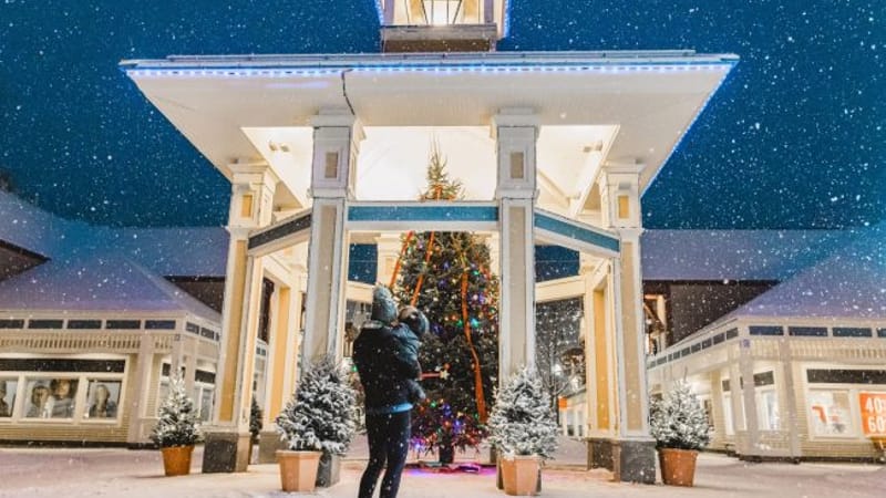 Photo of Holiday Festival & Tree Lighting at Settlers Green 2026 event