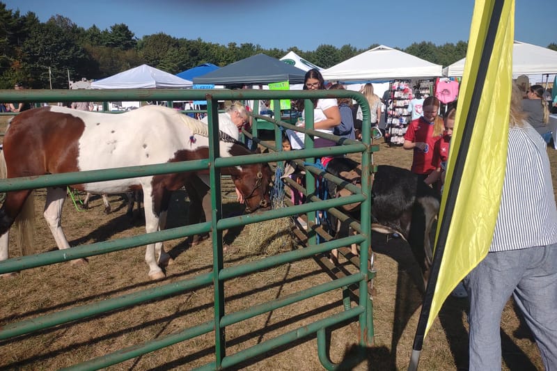 Livestock pen and midway, New Gloucester Community Fair 2026
