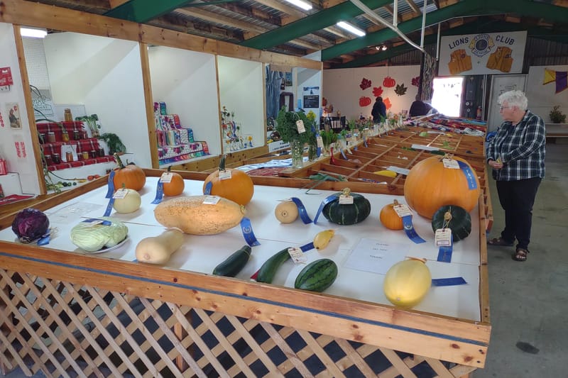 Photo from New Portland Lions Fair